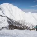 Snowfall in Nozawa Backcountry