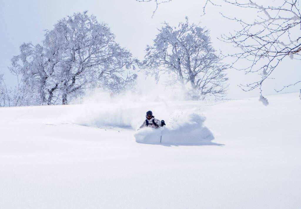 Skier in pow