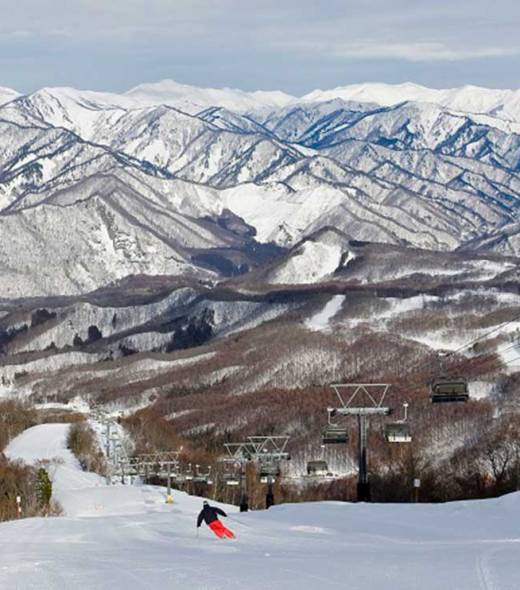 area_info_Mt-T_Area-Info_Minakami_02