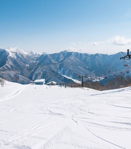 fa6148e32ed42305a2212c398740882b