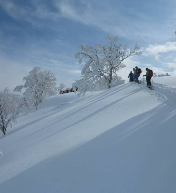 nozawa_backcountry_004
